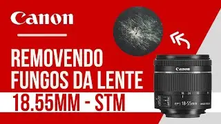 Como remover FUNGOS da lente 18-55mm STM - Canon (não faça isso em casa)