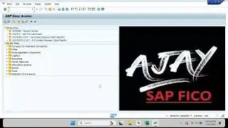 SAP FICO: Vendor Payment Process 01