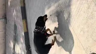 Sasha having fun time with her Mamma