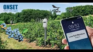 Wireless Sensor Networks for Fruit Growers – Applications, Tools, and Factors to Consider