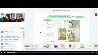 Third Webinar Root-Benefit COST ACTION WG 2 (Part 1): Estibaliz Larrainzar