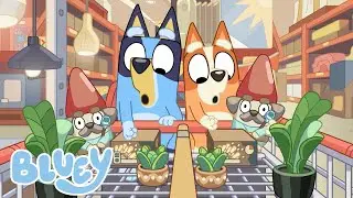 O Checkout 💲🛒 | Hammerbarn | Bluey Portugu&ecirc;s Brasil Canal Oficial