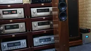 Speaker ELAC FS 407 + Accuphay E-650 + DP-700. Call 03436.12345