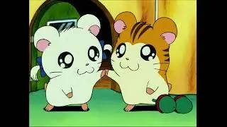 Hamtaro G&eacute;n&eacute;rique Fran&ccedil;ais [1080p]