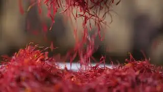 Saffron Filaments falling