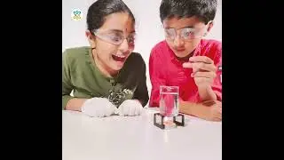 Young Xperimentors Testimonial