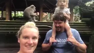 The Sacred Monkey Forest in Ubud on Bali, Indonesia | Eat. Play. Travel. Family Vlog