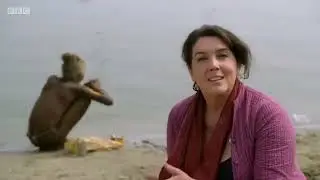 O BUDA (BBC HISTORY) Document&aacute;rio Dublado