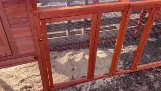 Free-Range Haven: 10-Foot Chicken Coop with Attached Run