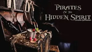 The Hidden Spirit: London's Pirate-Themed Bar