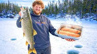 Biggest Trout of My Life! Catch & Cook