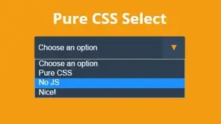 JAVASCRIPT FORM SELECT CHANGE OPTIONS   SELECT OPTION JAVASCRIPT   ONCHANGE EVENT IN JAVASCRIPT