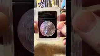 Silver Eagle added to the stack at a super low price 😍 #stackingsilver #silver #goldandsilver
