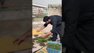 Masala box ❌ first aid box ✅ || Muaaz Shakoor