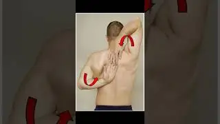 Apley's Scratch Test #shoulderpain #meded #athletictraining #physiotherapy