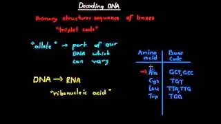 Decoding DNA