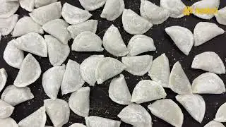 High-Quality Dumpling Production with ANKO HLT-700U | Jebbeh Group