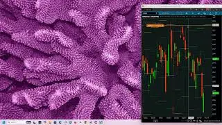 Russell 2000 Weekly Market Review Nov 15, 2025