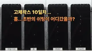 [다이마스터#656] 내구성이 안좋은게..맞네 (마스터즈리그 고체왁스전 10일차)