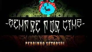 Pedrinho Setorsul part. Mc Bertim e JHUNIS