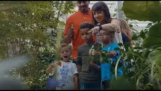 Family - Local