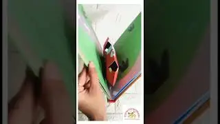 Robin's Amazing Box (A Pop-up Book)