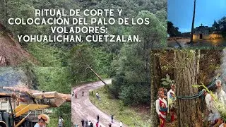 Ritual y colocación del palo de Los Voladores. Yohualichan, Cuetzalan. Puebla/4k