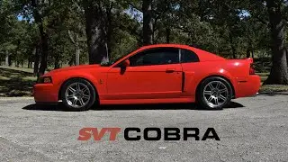 2003 10th Anniversary SVT Mustang Cobra - Why its special