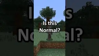 Is this Normal? #shorts #minecraftshorts #minecraft #minecraftbuilding