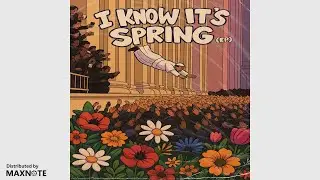 EVRYthing Jazz - Floral Bliss (Official Audio)