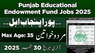 PEEF Jobs 2025 | Latest Government Jobs In Pakistan 2025 | JobsOfficial com