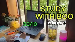 #132: ☁️ 2 HOURS STUDY WITH ME 🍵 | Calm Day | Pomodoro 50-10 | Real Time | Ambient Sound