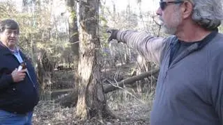 Dr Eddie White speaks about Echaw Creek