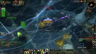 Everbloom Gold CM run