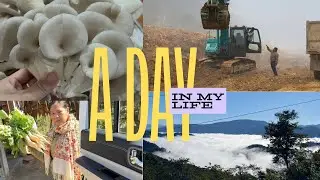 A DAY in My LIFE🦋🌻