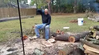 Time to make log bench out of the wicked tree