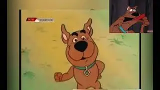 #scoobydoo #Annual teenage picnic😅🫶@scoob1274 😜#part1