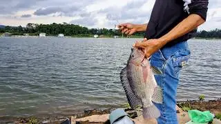 Tidak ada ikan Kecil di sini - Mancing Saguling Terbaru 2026