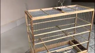 VIDEO GAIOLA QUADRADA N O4