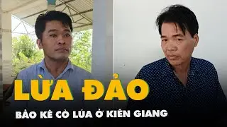 Bắt nhóm lừa đảo, bảo kê cò lúa ở Kiên Giang