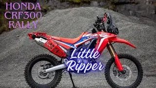 CRF 300 training stuff #crf300rally #hondacrf300i