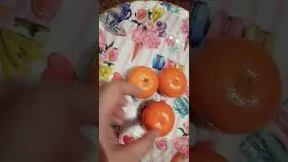 Mini Oranges in India. #summer #april #vitaminc #fruits #healthy #citrus #mini #orange #cute #fruity