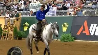Rédeas: Cavalo Crioulo nos WEG Jogos Equestres Mundiais 2014