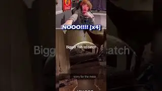 Это НЕ собака 💀