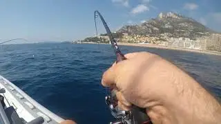 pêche au leurre Méditerranée
