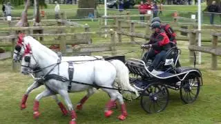 HEIBING Lars DEN, Windsor 2017,CAI3# H2, Marathon Ob 7, 13 05 17