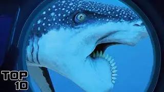 Top 10 Unsettling Submarine Discoveries Caught On Camera
