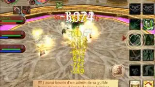 Order & Chaos Online: VTL - Dps View