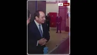 كيف يتكلم الأجانب عن مصر الآن 