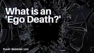 What is and 'ego death' and why do we want it so bad in a psychedelic journey?